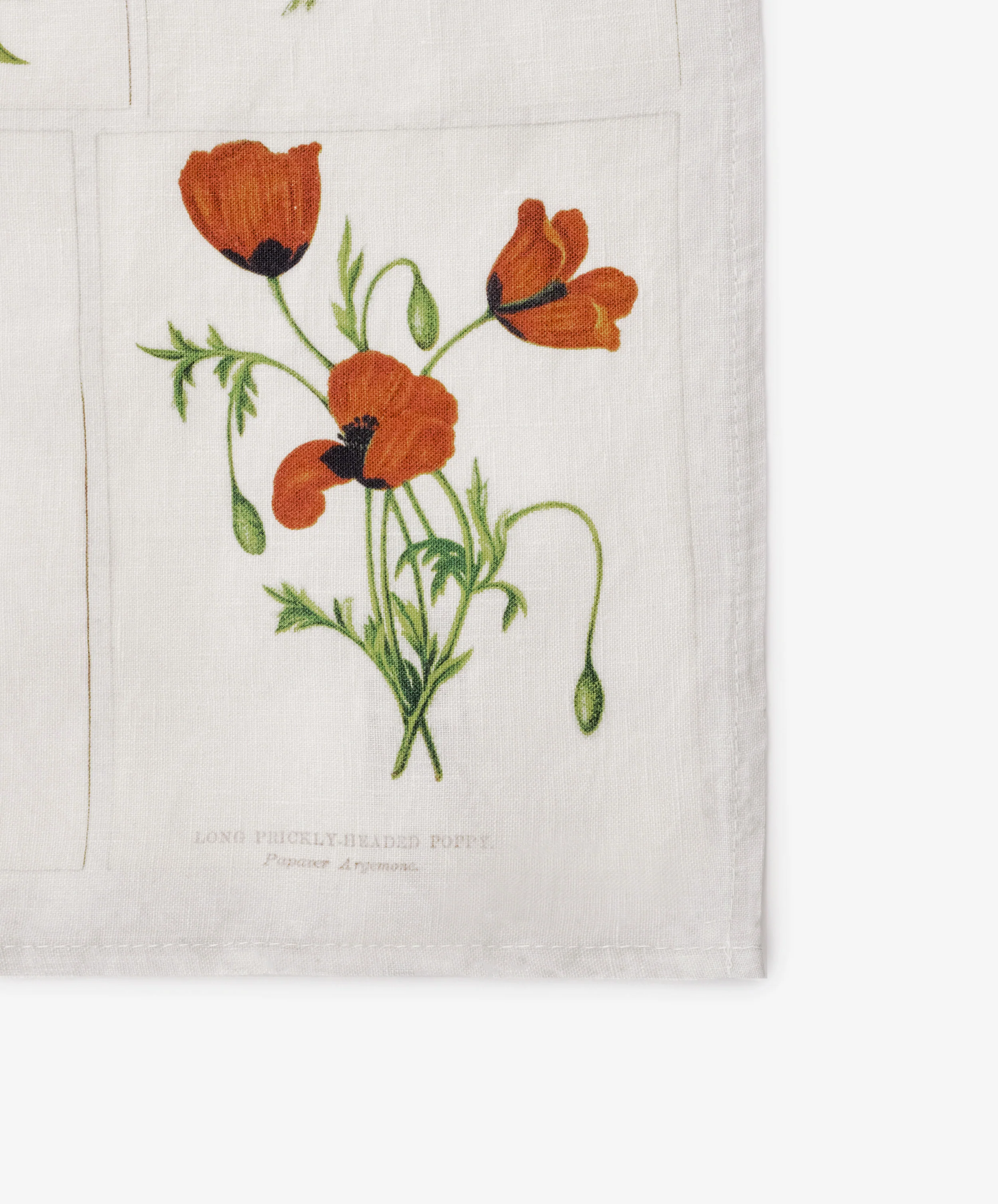 John Derian Botanical Tiles Napkin, Set of 6 - Image 2