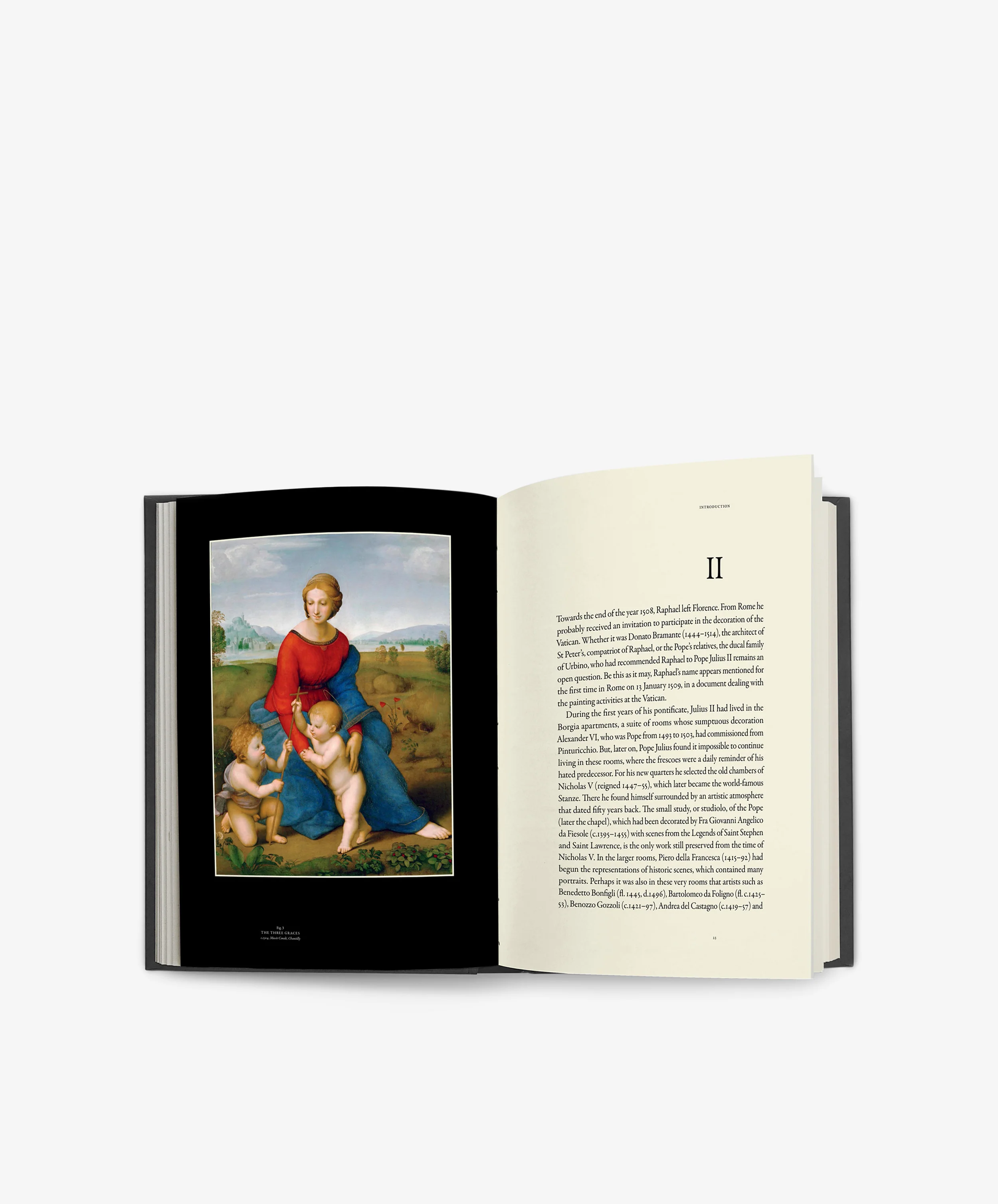 Raphael - Image 3