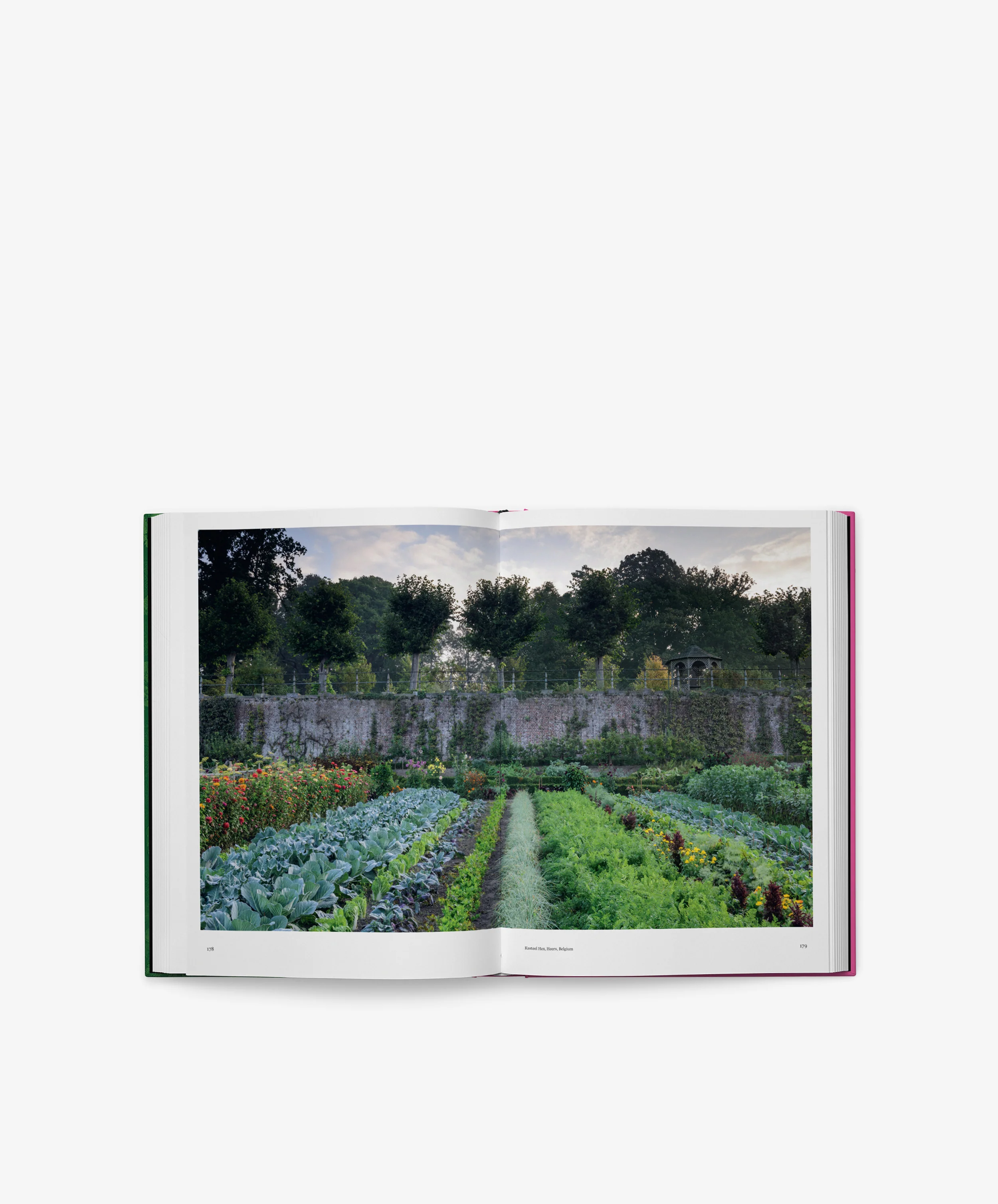 The Kitchen Garden - Image 4