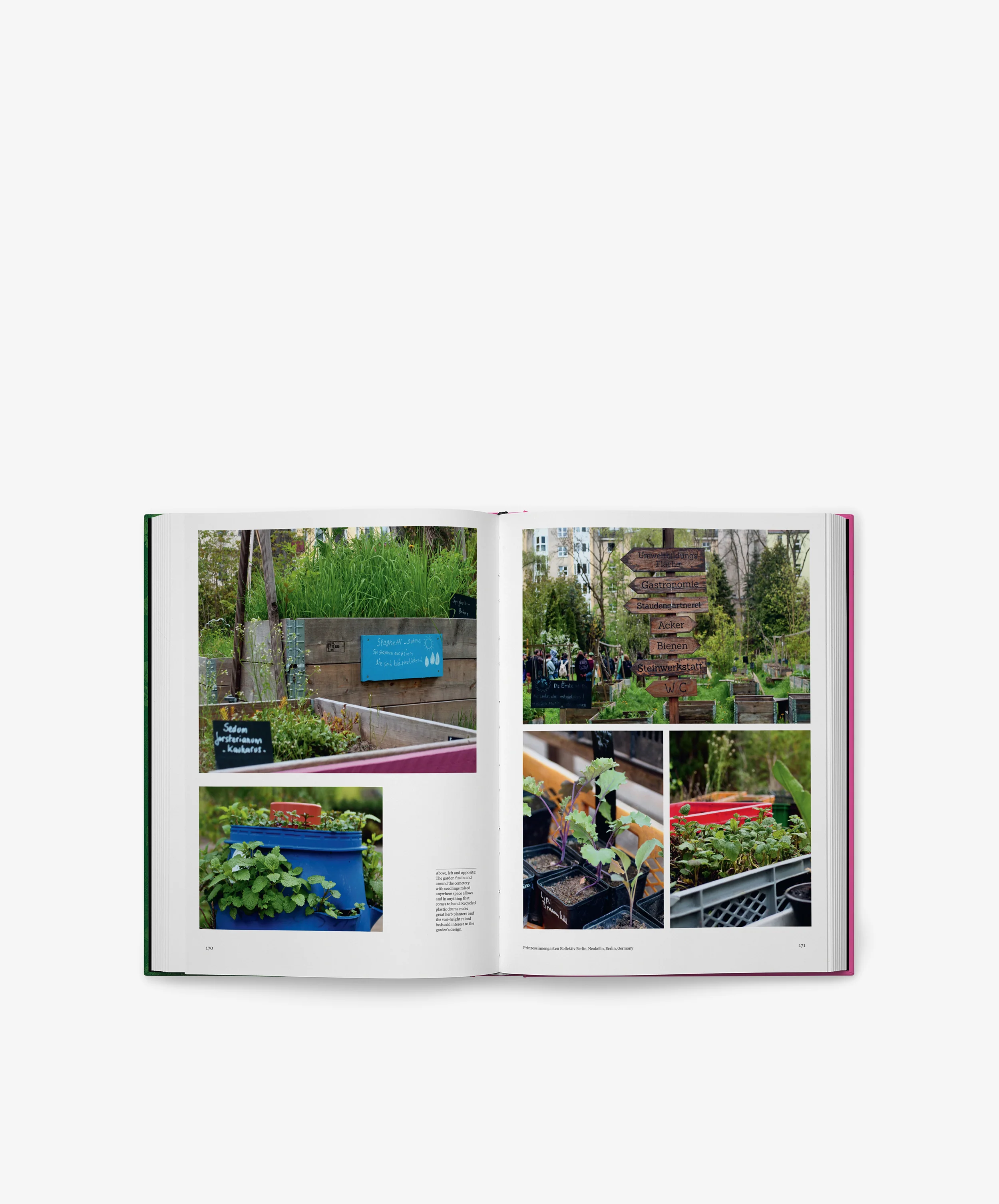 The Kitchen Garden - Image 5