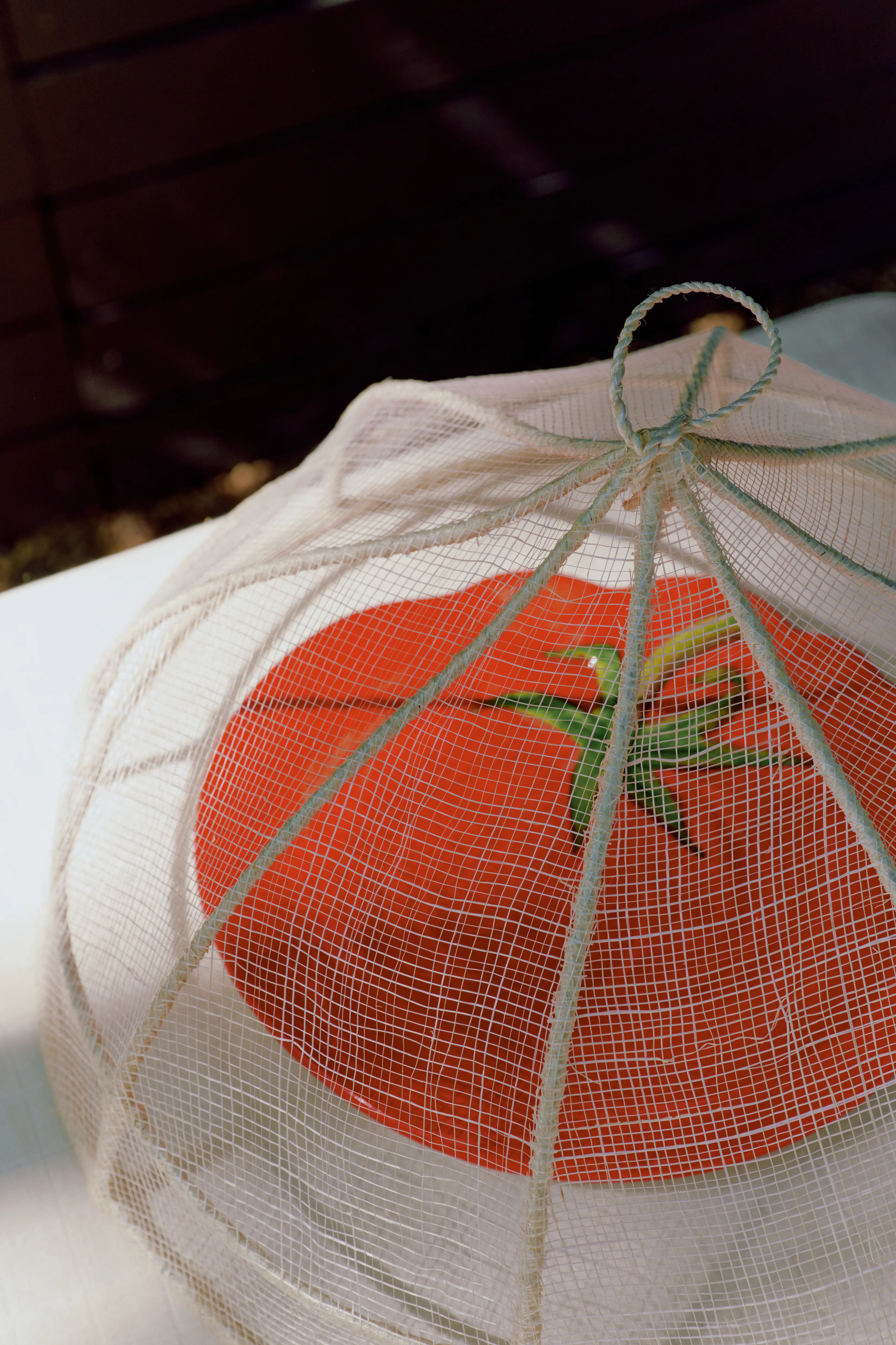 Viola Foodcover - Image 2